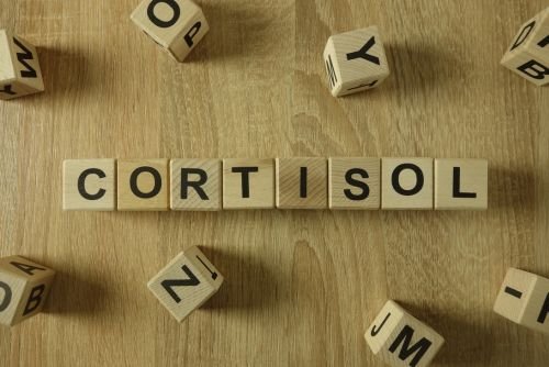 Cortisol and Belly Fat