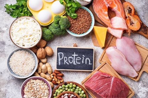 How Much Protein Should You Have a Day