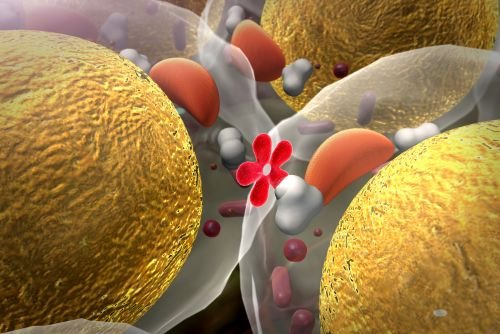 Insulin Resistance and Weight Loss